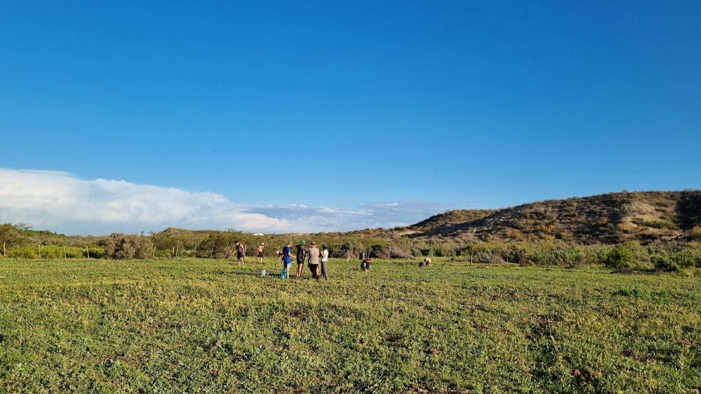 Gente caminando el campo, a lo lejos