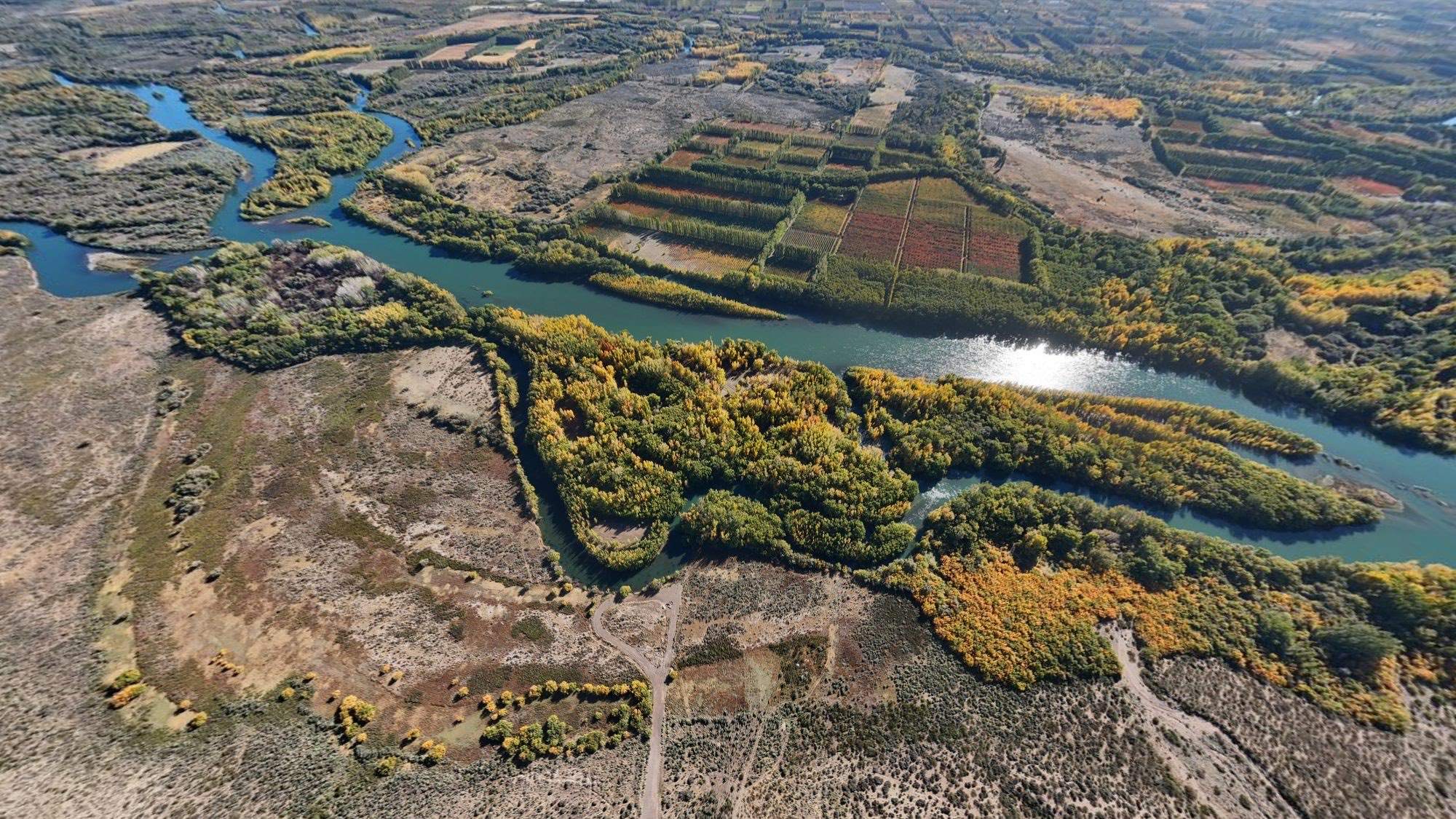 Vista aérea del valle sobre el Río Negro, con las chacras y la barda al fondo