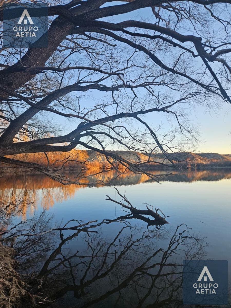 Ramas sobre el río al atardecer